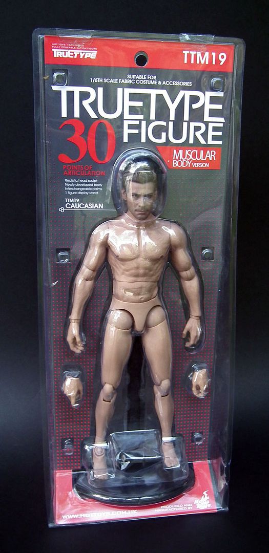 hot toys truetype male figure body